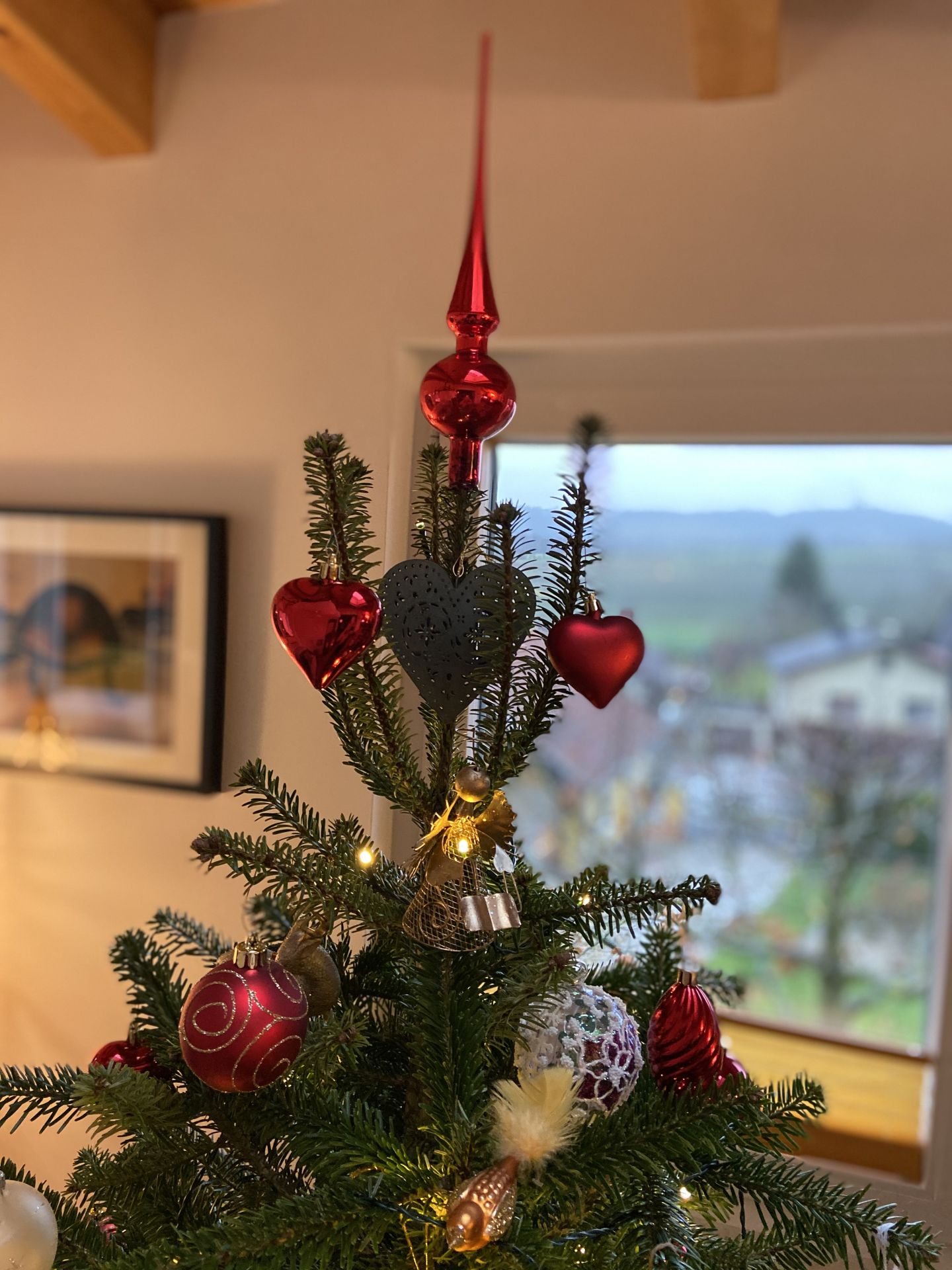 Der Gipfel vom Wipfel :-) - Baum, Christbaum, Christbaumschmuck, Nordmann-Tanne, Tannen, Weihnachten - (Niederleis, Niederösterreich, Österreich)