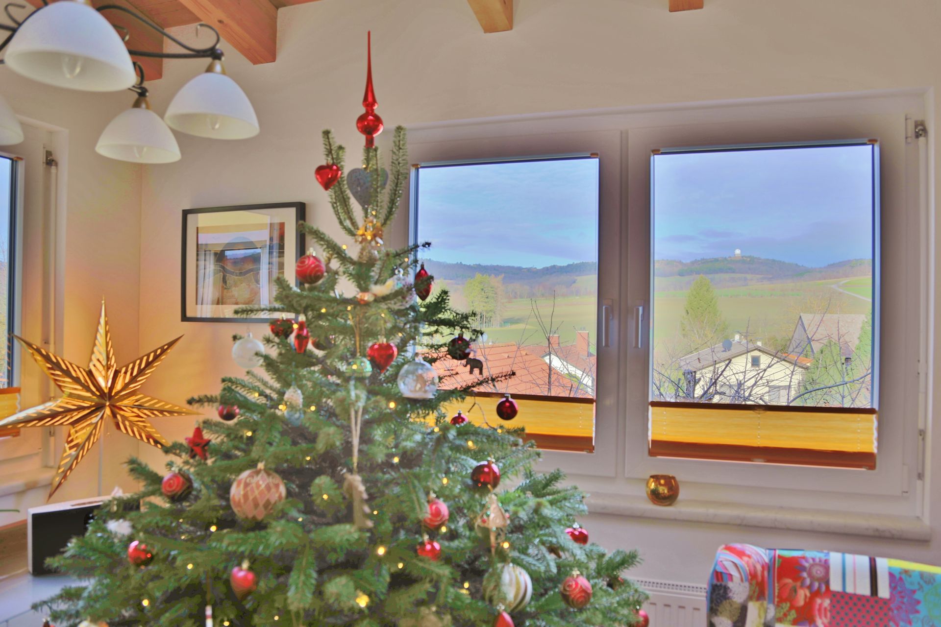 Weihnachten mit dem besten Blick auf den Buschberg. - Baum, Christbaum, Christbaumschmuck, Nordmann-Tanne, Tannen, Weihnachten, Wohnzimmer - (Niederleis, Niederösterreich, Österreich)