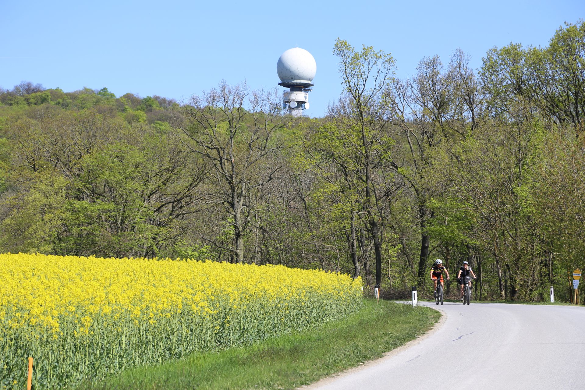 Der kleine Bruder vom Buschberg, das Steinmandl - Bäume, Biker, Bundesheer, Buschberg, Feld, Frühling, Gebäude, Kugel, Landschaft, Leiser Berge, Luftraumüberwachung, militärisch, Mountainbike, Naturpark, Personen, Radfahrer, Rapsfeld, Steinmandl, Strasse, Sträucher, Weinviertel - (Michelstetten, Au, Niederösterreich, Österreich)