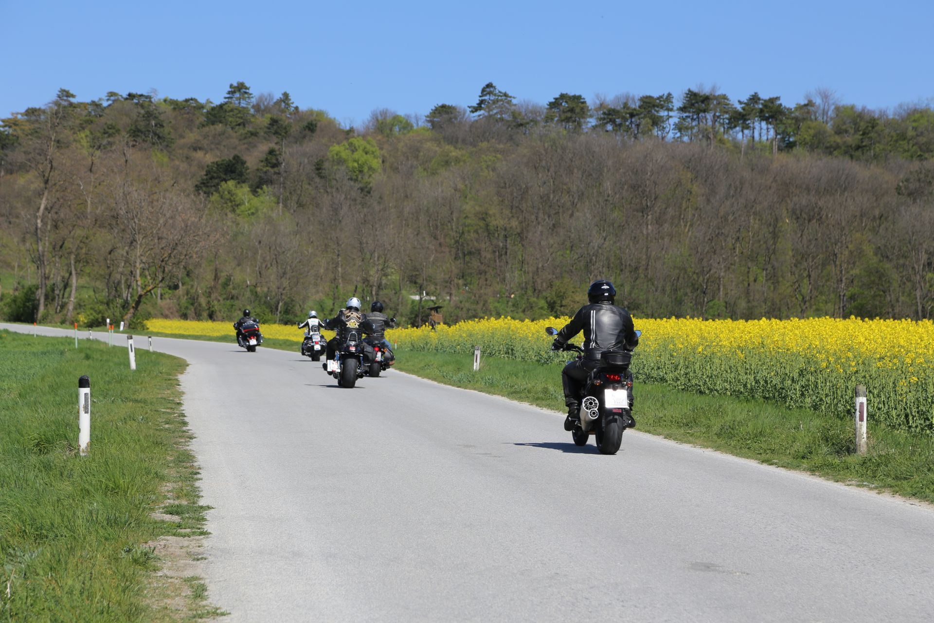 Biker's Paradies - Bäume, Biker, Buschberg, Fahrzeuge, Feld, Frühling, Landschaft, Leiser Berge, Maschine, Motorrad, Naturpark, Personen, Rapsfeld, Strasse, Sträucher, Weinviertel - (Michelstetten, Au, Niederösterreich, Österreich)