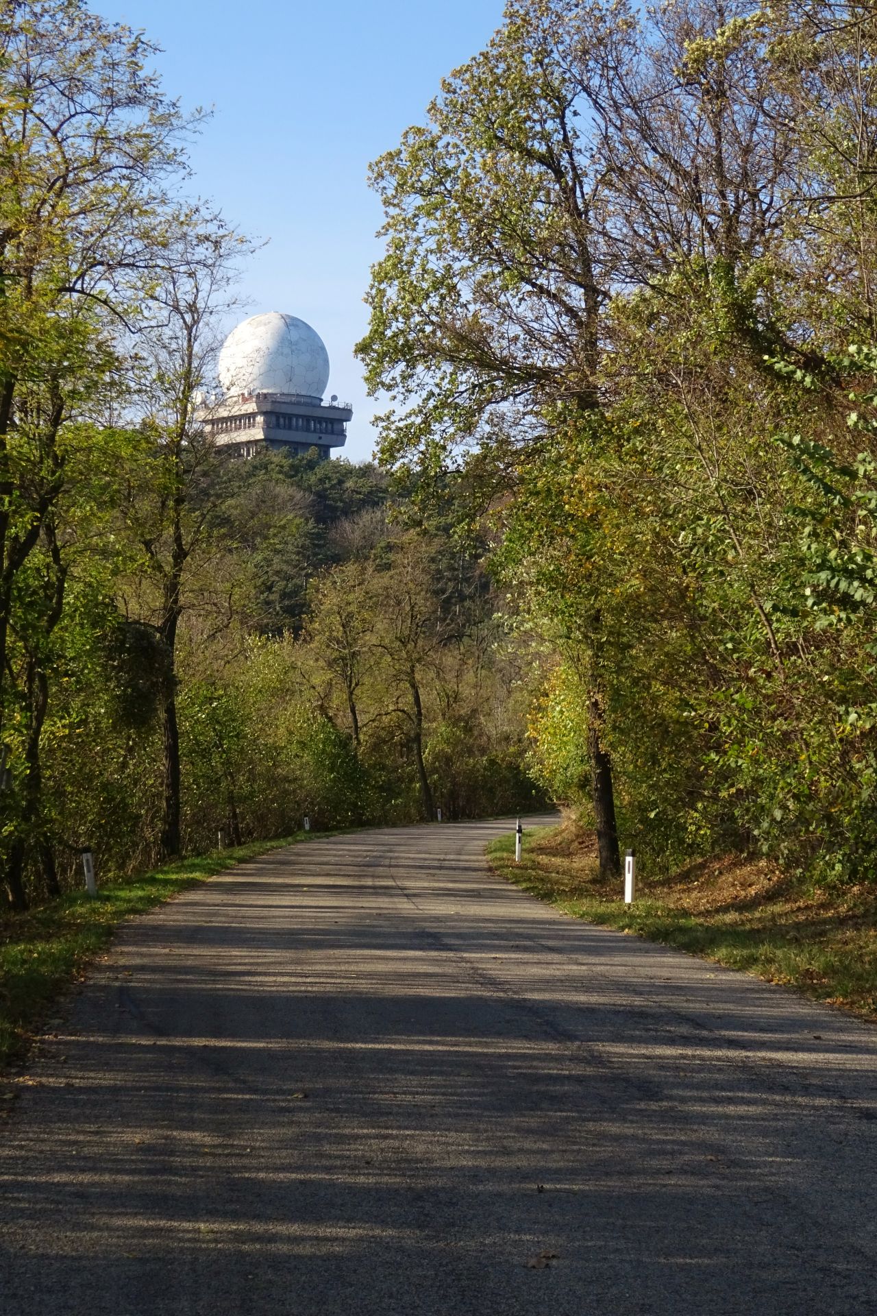 Schaut weiter aus als es ist - Bäume, Buschberg, Gebäude, Herbst, Kugel, Leiser Berge, Naturpark, Strasse, Sträucher, Weg, Weinviertel - (Buschbergsiedlung, Au, Niederösterreich, Österreich)