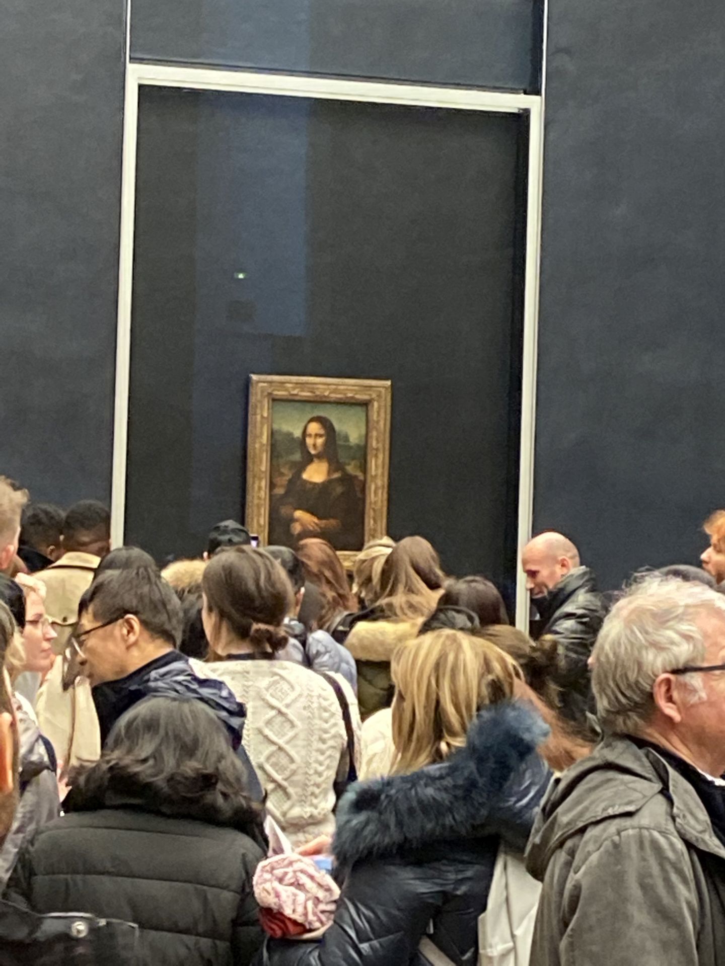 Was sich Mona Lisa wohl gerade denkt? - Bild, Frankreich, Gemälde, Kunst, Leonardo da Vinci, Louvre, Mona Lisa, Museum, Paris - (Paris 04 Ancien - Quartier Louvre, Paris 01, Île-de-France, Frankreich)