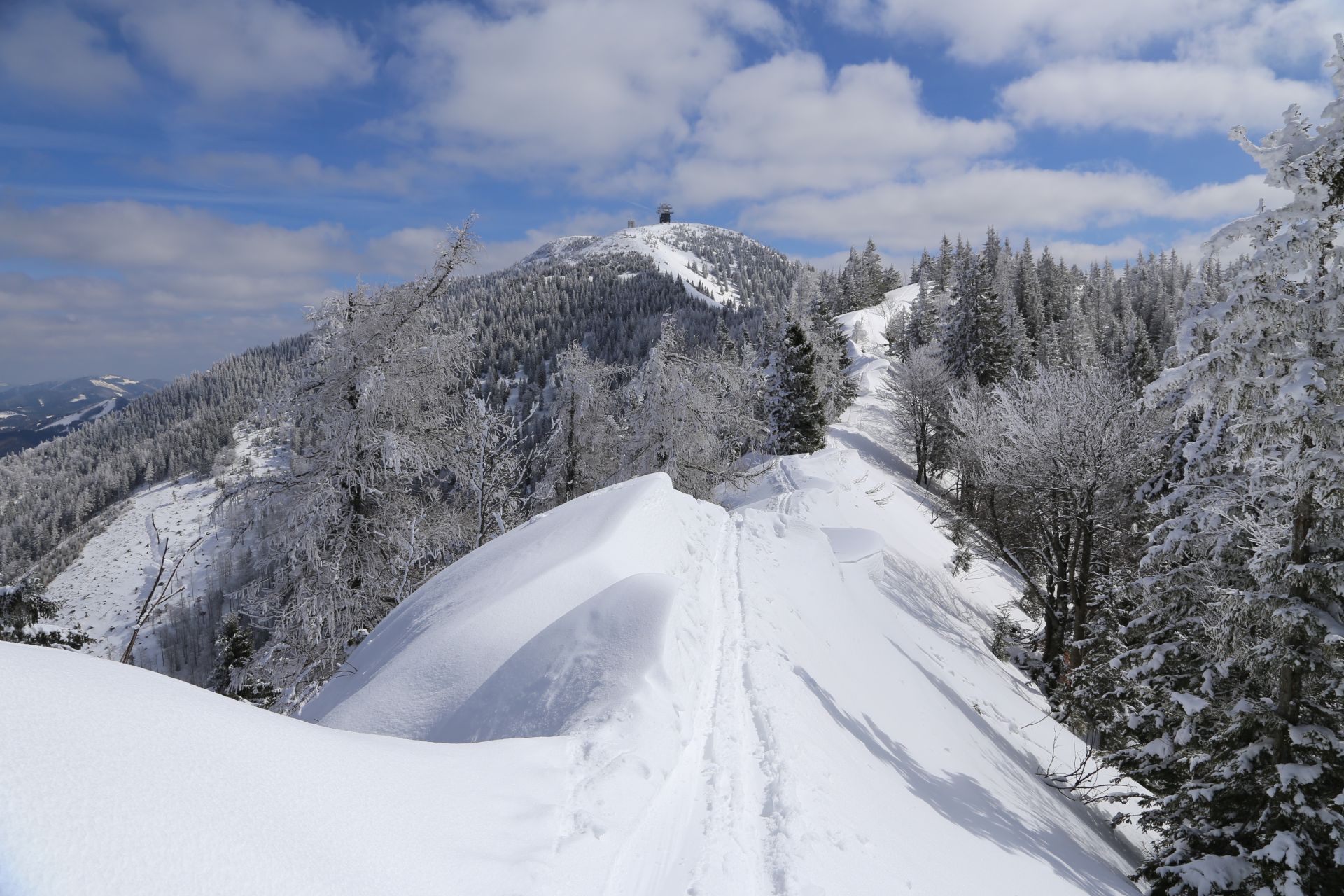 Winterwonderland - Berge, Bergkamm, Berglandschaft, Bergrücken, Fährte, Fußspuren, Fußstapfen, Gebirgskamm, Gemeindealpe, Gipfel, Hügel, Landschaft, Natur, Panorama, Scharte, Schnee, Schneeschuhwandern, Sendeanlage, Sendeturm, Spuren, Trittspur, Winter, Winterlandschaft, Zellerrain - (Taschelbach, Josefsrotte, Niederösterreich, Österreich)