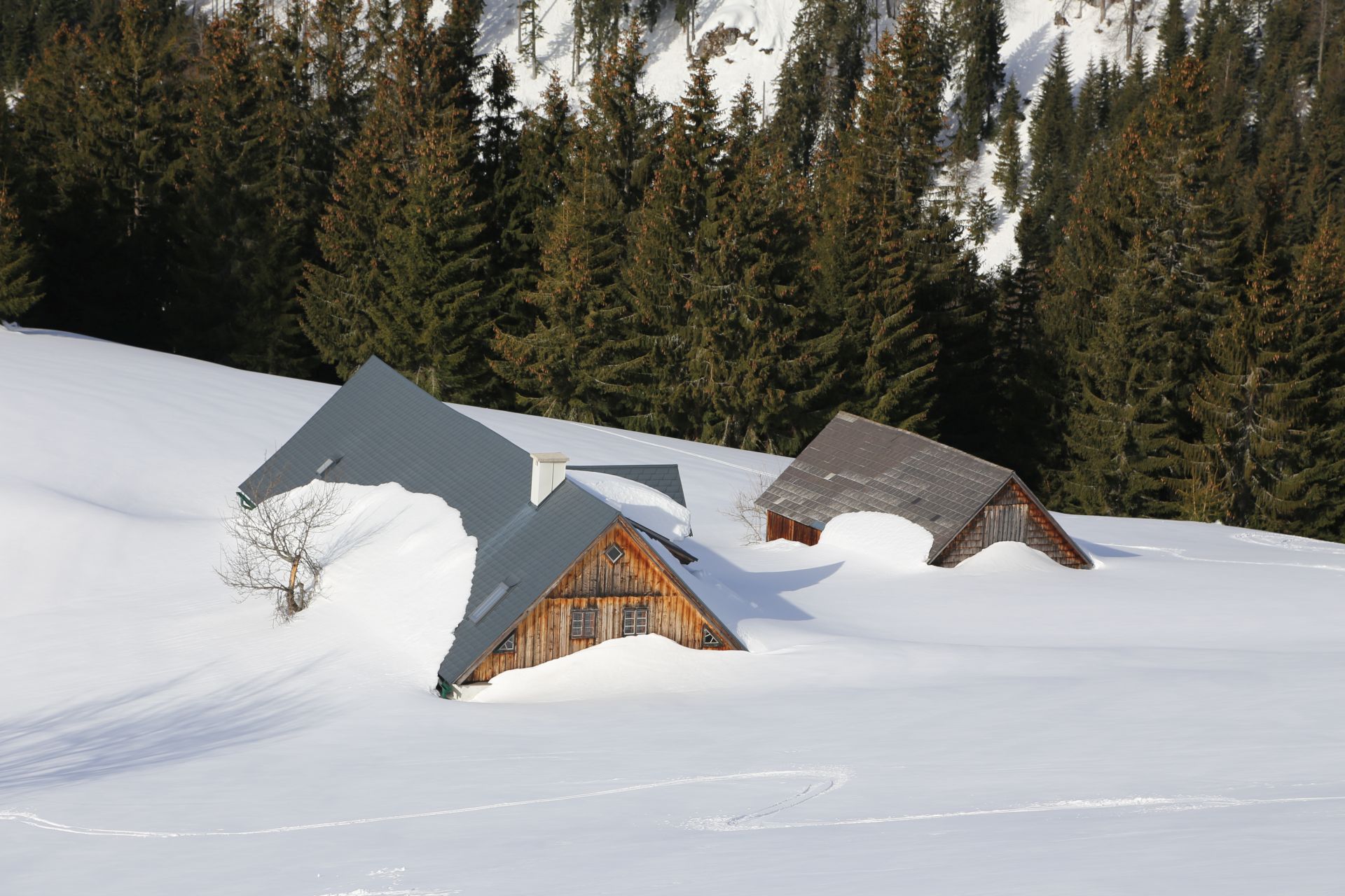 Hoffentlich genug Vorräte gelagert - Gebäude, Gemeindealpe, Haus, Natur, Schnee, Schneeschuhwandern, Winter, Winterlandschaft, Zellerrain - (Taschelbach, Sankt Sebastian, Steiermark, Österreich)