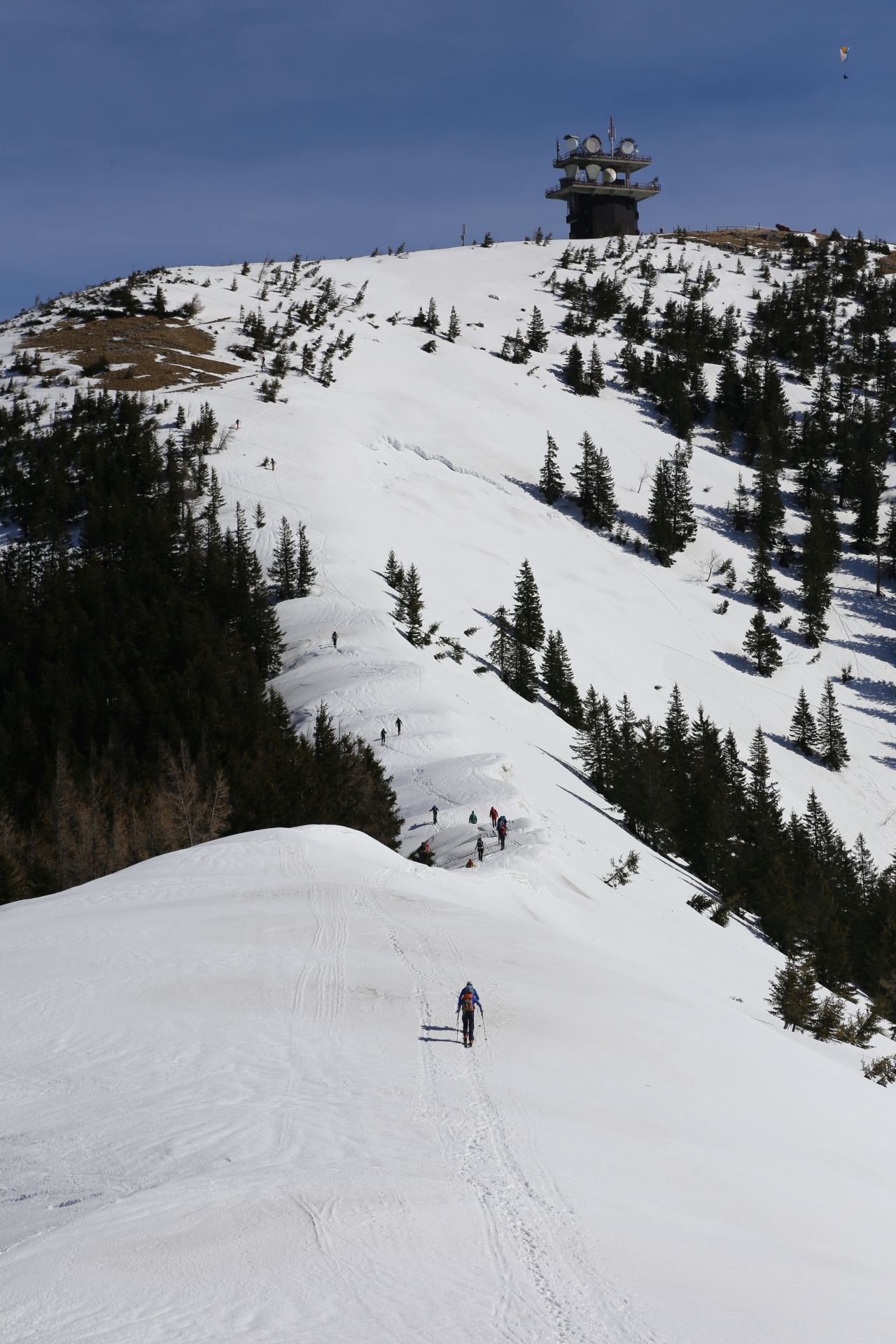 Der Weg ist das Ziel - Bergkamm, Berglandschaft, Bergrücken, Fährte, Fußspuren, Fußstapfen, Gebirgskamm, Gemeindealpe, Landschaft, Natur, Panorama, Scharte, Schnee, Schneeschuhwandern, Sendeanlage, Sendeturm, Spuren, Trittspur, Winter, Winterlandschaft, Zellerrain - (Taschelbach, Josefsrotte, Niederösterreich, Österreich)