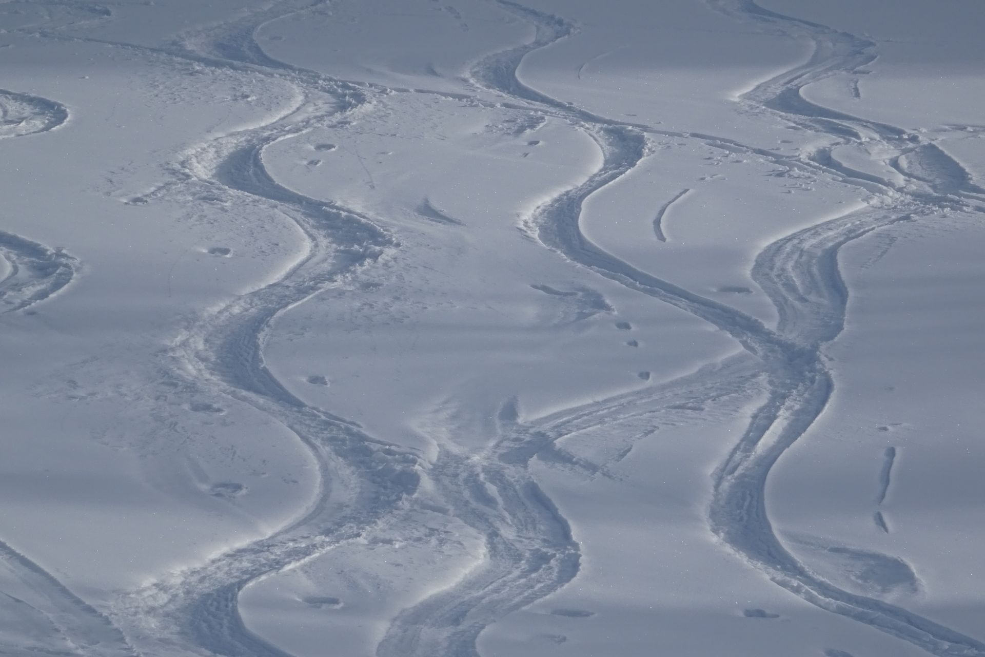 Das können die Schneeschuhe - noch nicht - Berglandschaft, Fährte, Fußspuren, Fußstapfen, Gemeindealpe, Landschaft, Natur, Panorama, Schnee, Schneeschuhwandern, Spuren, Trittspur, Winter, Winterlandschaft, Zellerrain - (Taschelbach, Sankt Sebastian, Steiermark, Österreich)