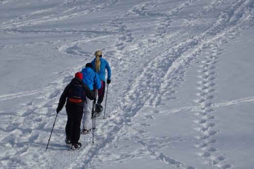 Himalya? Zellerrain! - Berglandschaft, Fährte, Fußspuren, Fußstapfen, Gemeindealpe, Landschaft, Natur, Panorama, Personen, Schnee, Schneeschuhwandern, Spuren, Trittspur, Winter, Winterlandschaft, Zellerrain - WEISSINGER Sofia - (Taschelbach, Sankt Sebastian, Steiermark, Österreich)