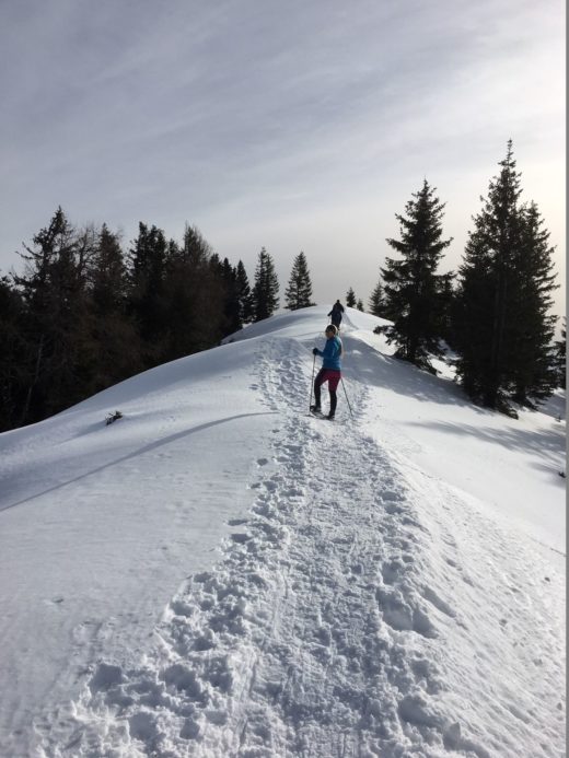 Einsame Fährten - Bergkamm, Berglandschaft, Bergrücken, Fährte, Fußspuren, Fußstapfen, Gebirgskamm, Gemeindealpe, Landschaft, Natur, Panorama, Personen, Scharte, Schnee, Schneeschuhwandern, Spuren, Trittspur, Winter, Winterlandschaft, Zellerrain - WEISSINGER Sofia - (Taschelbach, Josefsrotte, Niederösterreich, Österreich)