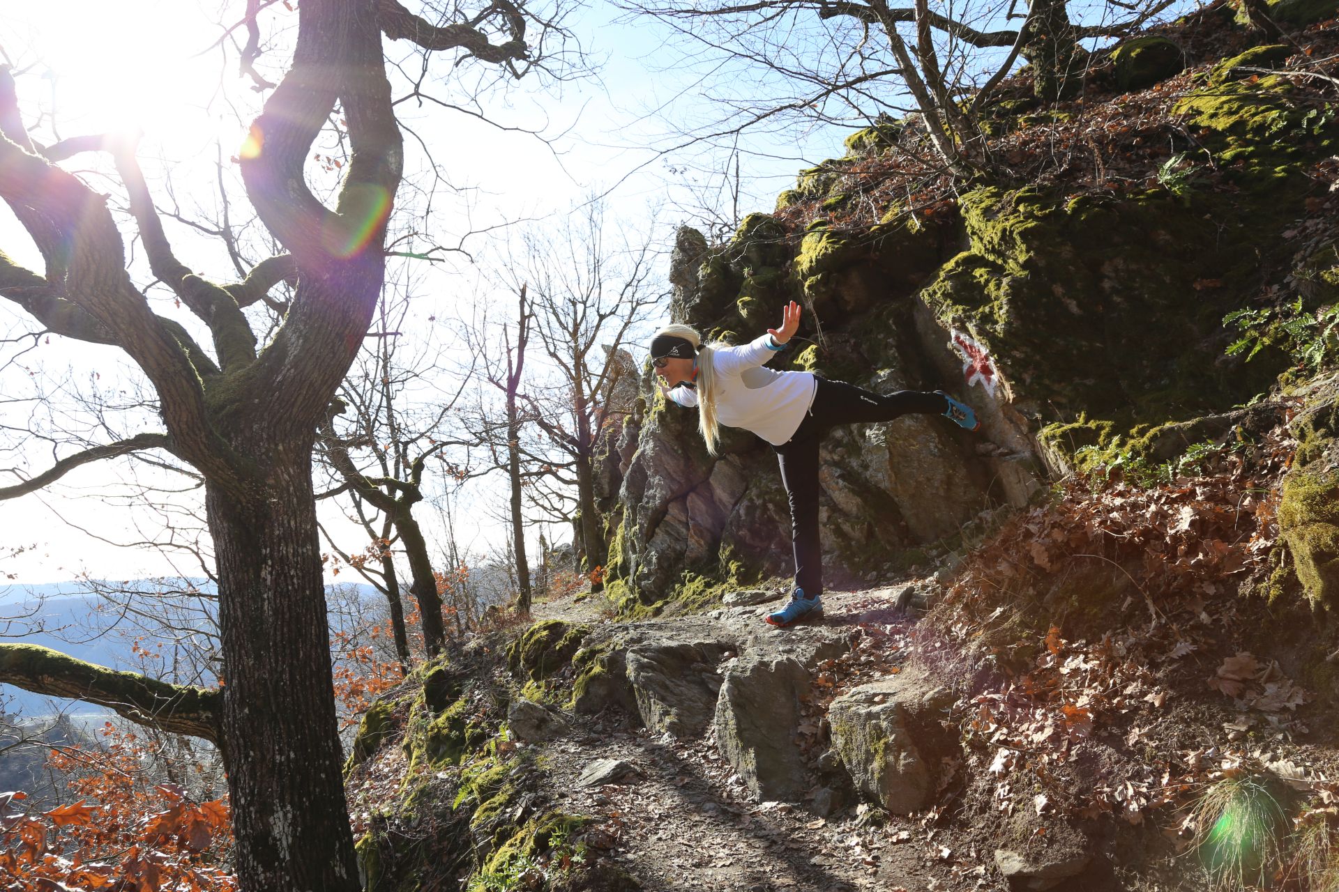 Der krumme Baum lebt sein Leben, der gerade wird zum Brett. - Donauregion, Donautal, Dürnstein, Landschaft, Natur, Panorama, Person, Personen, Schlossberg, Vogelberg, Vogelbergsteig, Wachau - WEISSINGER Sofia - (Dürnstein, Niederösterreich, Österreich)