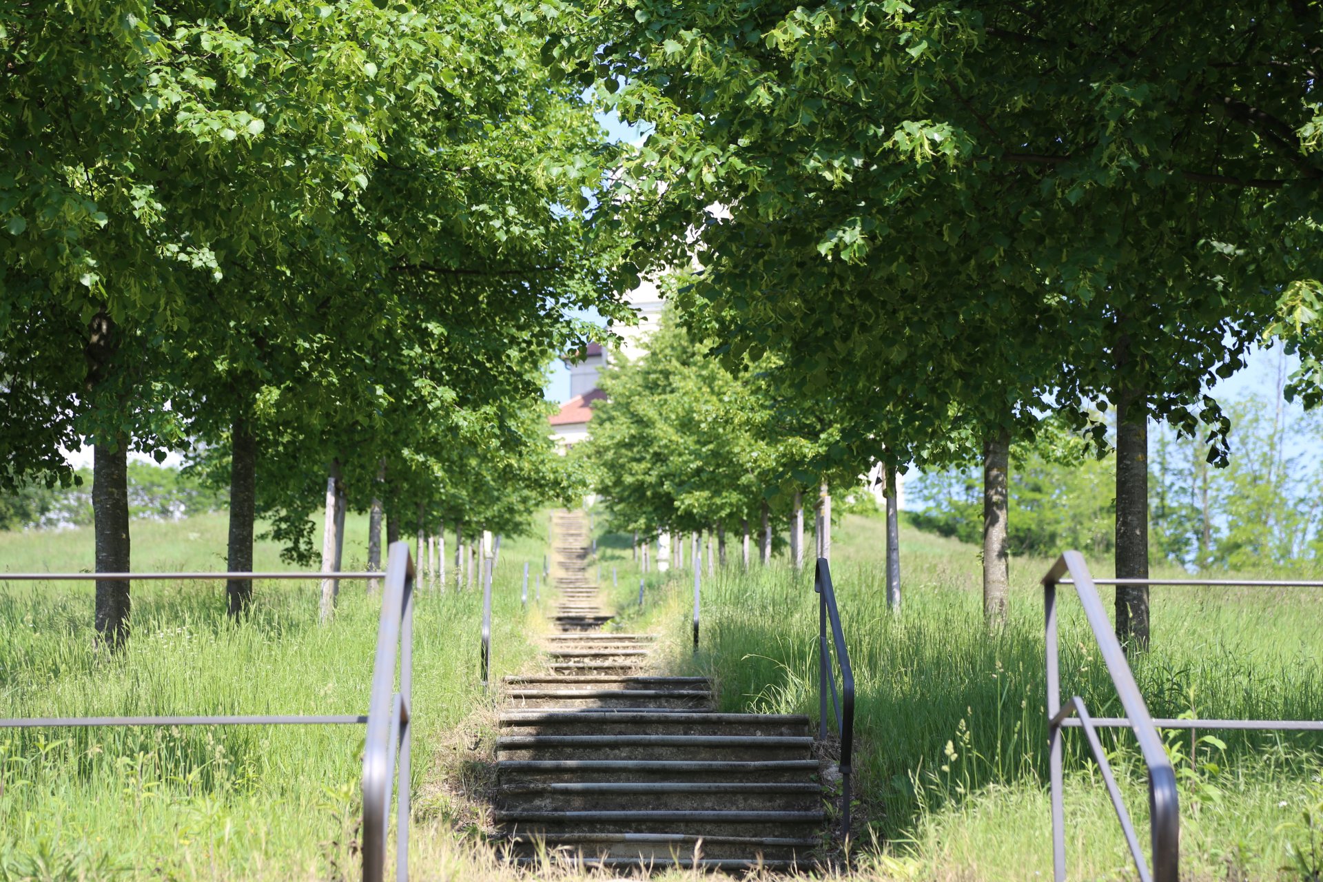 Zum Erfolg gibt es keinen Lift, wir nehmen die Stufen. - Aufstieg, Stiegen, Stufen, Weg - (Karnabrunn, Wetzleinsdorf, Niederösterreich, Österreich)