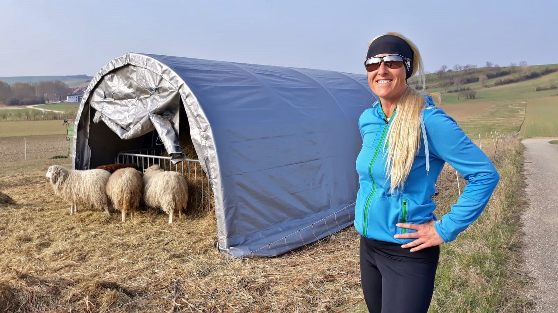 Zuhause ist da, wo die Herde schon immun ist. - Gras, Landschaft, Schafe, Tiere, Unterstand, Vieh, Weg - WEISSINGER Sofia - (Grafensulz, Niederösterreich, Österreich)