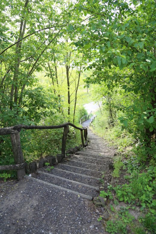 Stairway to Heaven - Abgang, Aufgang, Pfad, Stufen, Treppen, Weg - (Stetteldorf am Wagram, Niederösterreich, Österreich)