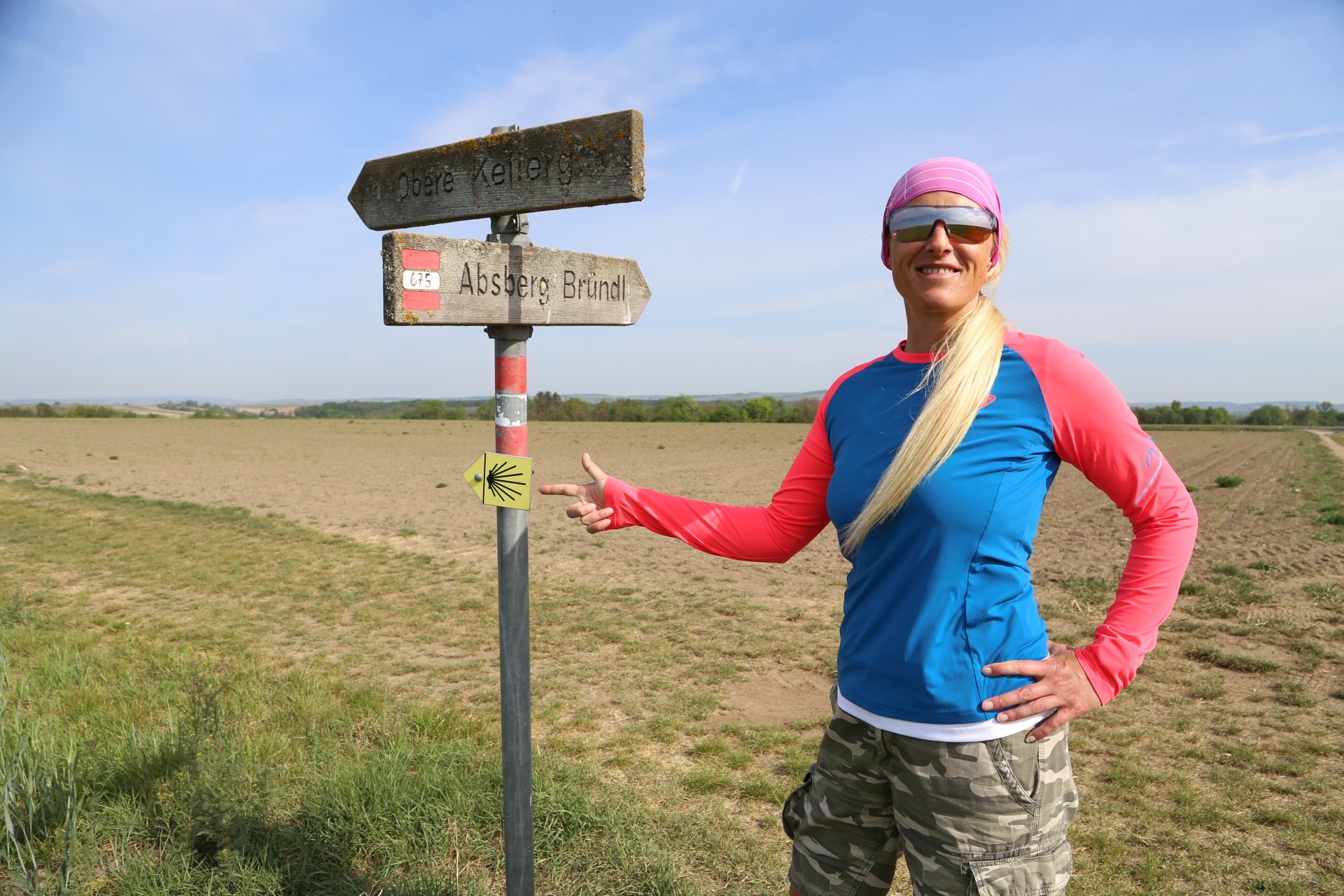 Immer der Muschel nach! - Acker, Feld, Landschaft, Schild, Schilder, Tafel, Weg, Wegkreuz, Wegweiser - WEISSINGER Sofia - (Absberg, Hippersdorf, Niederösterreich, Österreich)