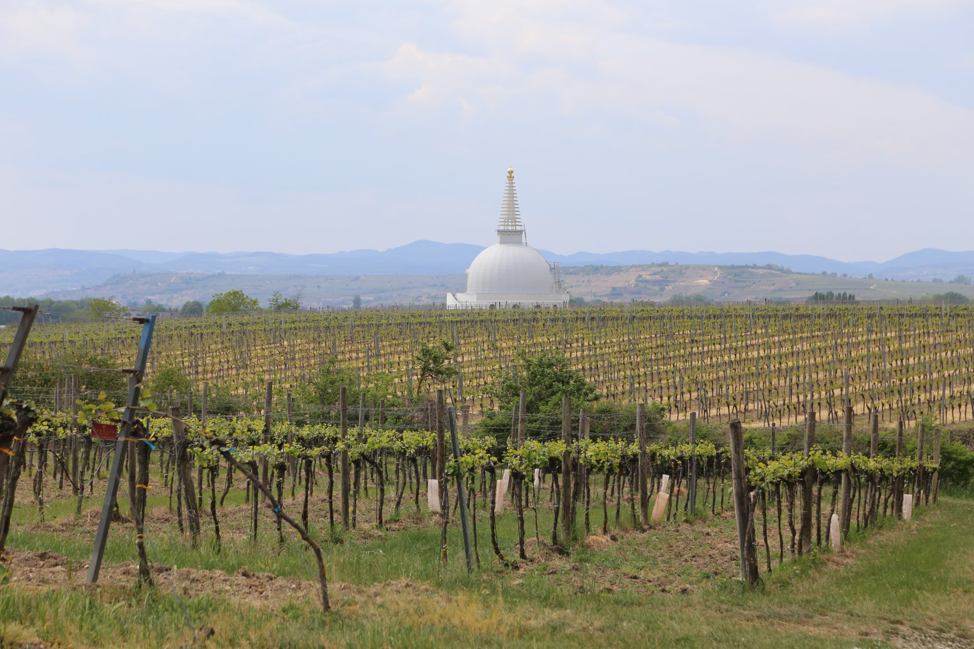 Platz für Ruhe und Einkehr im Einklang mit der Natur - buddhistisch, Friedensdenkmal, Gebäude, Meditationshaus, Ort des Glücks, Platz für Ruhe, Rebstöcke, Stupa, Stupa am Wagram, Weinbau, Weinreben, Weinstöcke - (Wagram am Wagram, Feuersbrunn, Niederösterreich, Österreich)