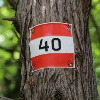 Ab 40 ist es zu spät seine Zeit zu vergeuden. - Bäume, Markierung, Natur, Richtungsanzeiger, Schild, Tafel, Wald, Wegweiser - (Baden, Niederösterreich, Österreich)