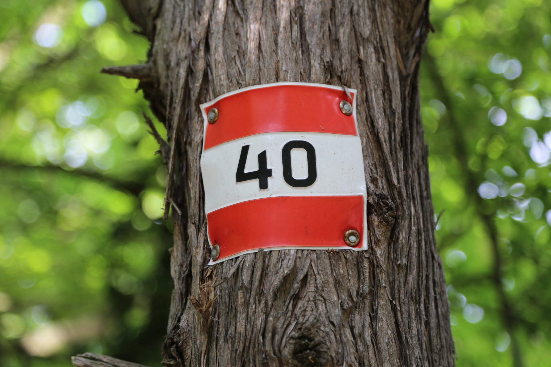 Ab 40 ist es zu spät seine Zeit zu vergeuden. - Bäume, Markierung, Natur, Richtungsanzeiger, Schild, Tafel, Wald, Wegweiser - (Baden, Niederösterreich, Österreich)