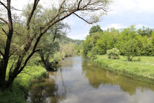 Ein Anblick wie aus einem Gemälde - Fluss, Flusslandschaft, Kamptal, Landschaft, Natur, Wasser - (Altenhof, Plank am Kamp, Niederösterreich, Österreich)