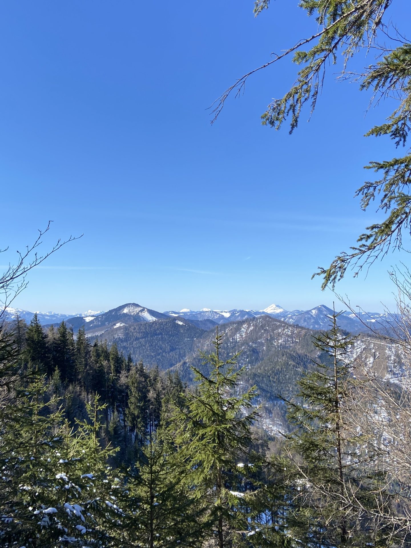 Fernsicht bis zum K2 (Ötscher) des Mostviertels - Alpen, Aussicht, Berge, Fernblick, Himmel, Kaiserwetter, Landschaft, Natur, Panorama, Ramsau, Schnee, Unterberg, wolkenlos - (Adamsthal, Kieneck, Niederösterreich, Österreich)