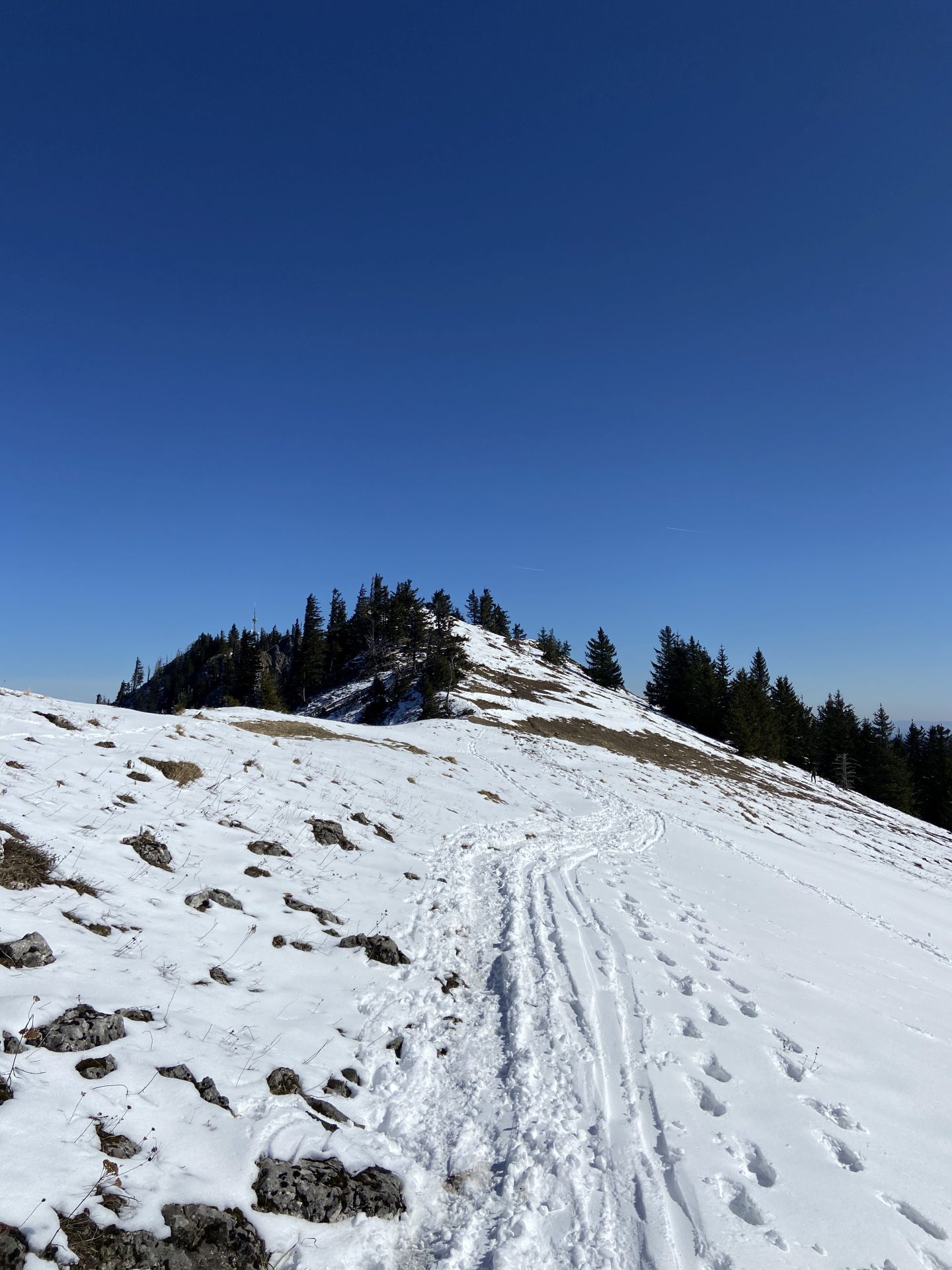 Verschneit, aber wunderbar zu begehen! - Himmel, Kaiserwetter, Natur, Pfad, Ramsau, Schnee, Spuren, Unterberg, Weg, wolkenlos - (Adamsthal, Kieneck, Niederösterreich, Österreich)