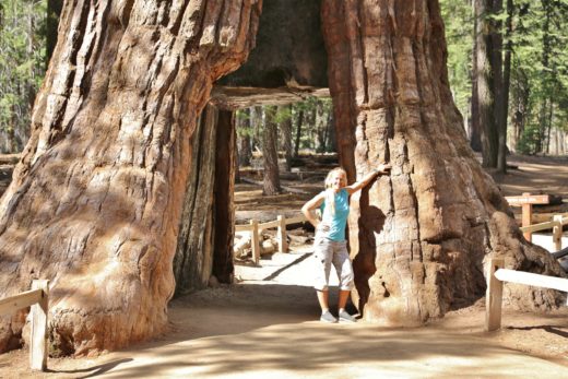 California Tunnel Tree - Baum, Baumstamm, Blondine, California Tunnel Tree, Durchgang, Kalifornien, Loch im Baum, Mariposa Grove, Personen, Pfad, Portrait, Porträt, Riesenmammutbaum, riesig, Sequoia, überdimensional, Weg, Yosemite National Park - WEISSINGER Sofia - (Fish Camp, California, Vereinigte Staaten)