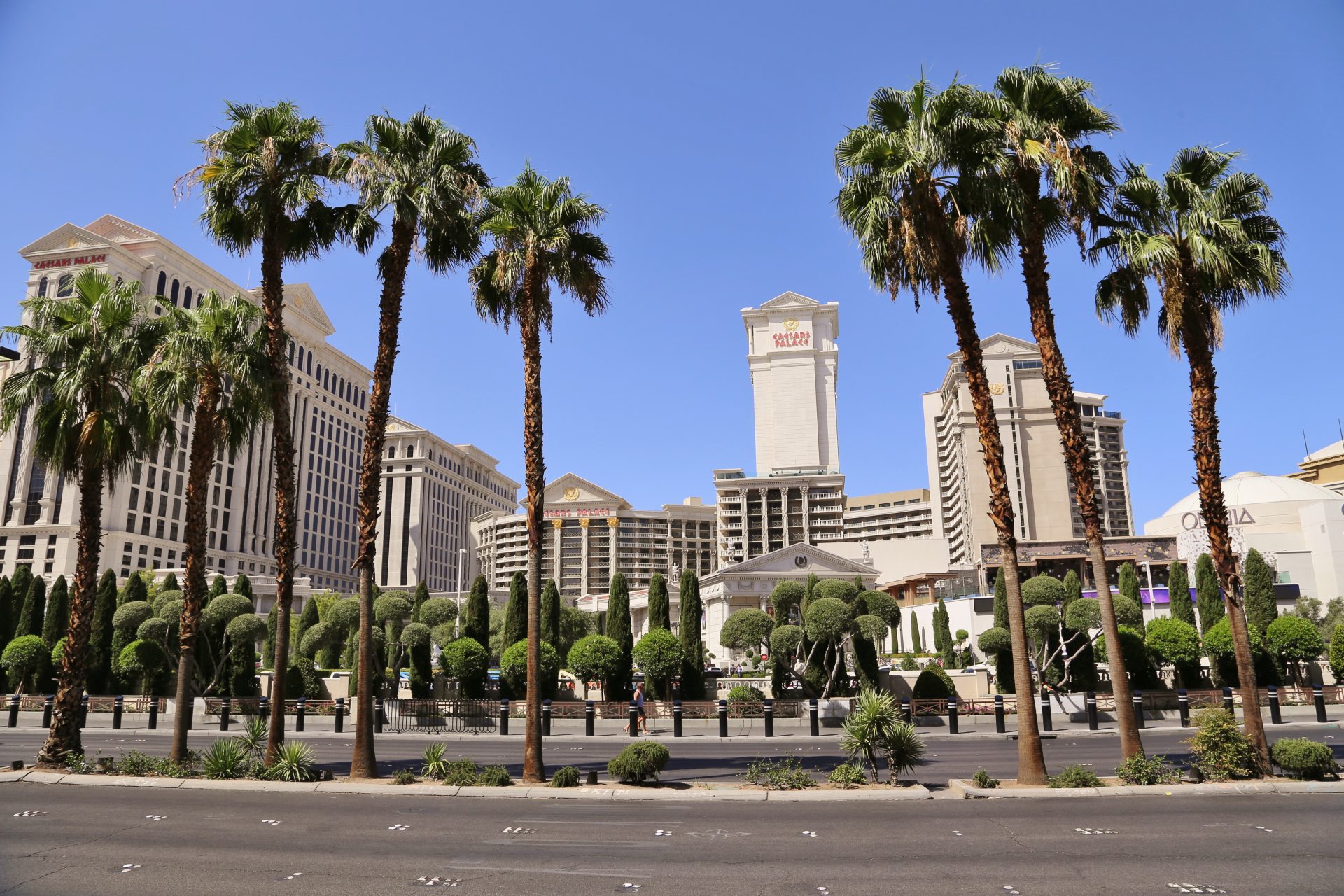 Cäsar hätte seine Freude an diesem Palast! - Bäume, Caesars Palace Las Vegas Hotel & Casino, Gebäude, Himmel, Las Vegas, Nevada, Palmen, Strasse - (Bracken, Las Vegas, Nevada, Vereinigte Staaten)
