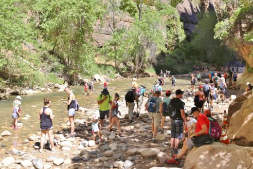 Zion Nationalpark - an schönen Orten bist du selten alleine .. - Bach, Bäume, Fluss, Flusslandschaft, Flusslauf, Himmel, Menschen, Menschenmengen, Steine, Temple of Sinawava, Utah, Virgin River, Wasser, Zion National Park - (Zion Lodge, Springdale, Utah, Vereinigte Staaten)