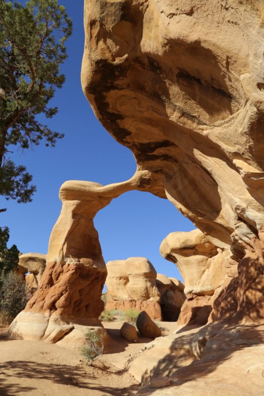 Devils Garden - Devils Garden, Erosion, Farben, Geologie, Himmel, Metate Arch, Sandstein, Sandsteinformationen, Utah - (Escalante, Utah, Vereinigte Staaten)