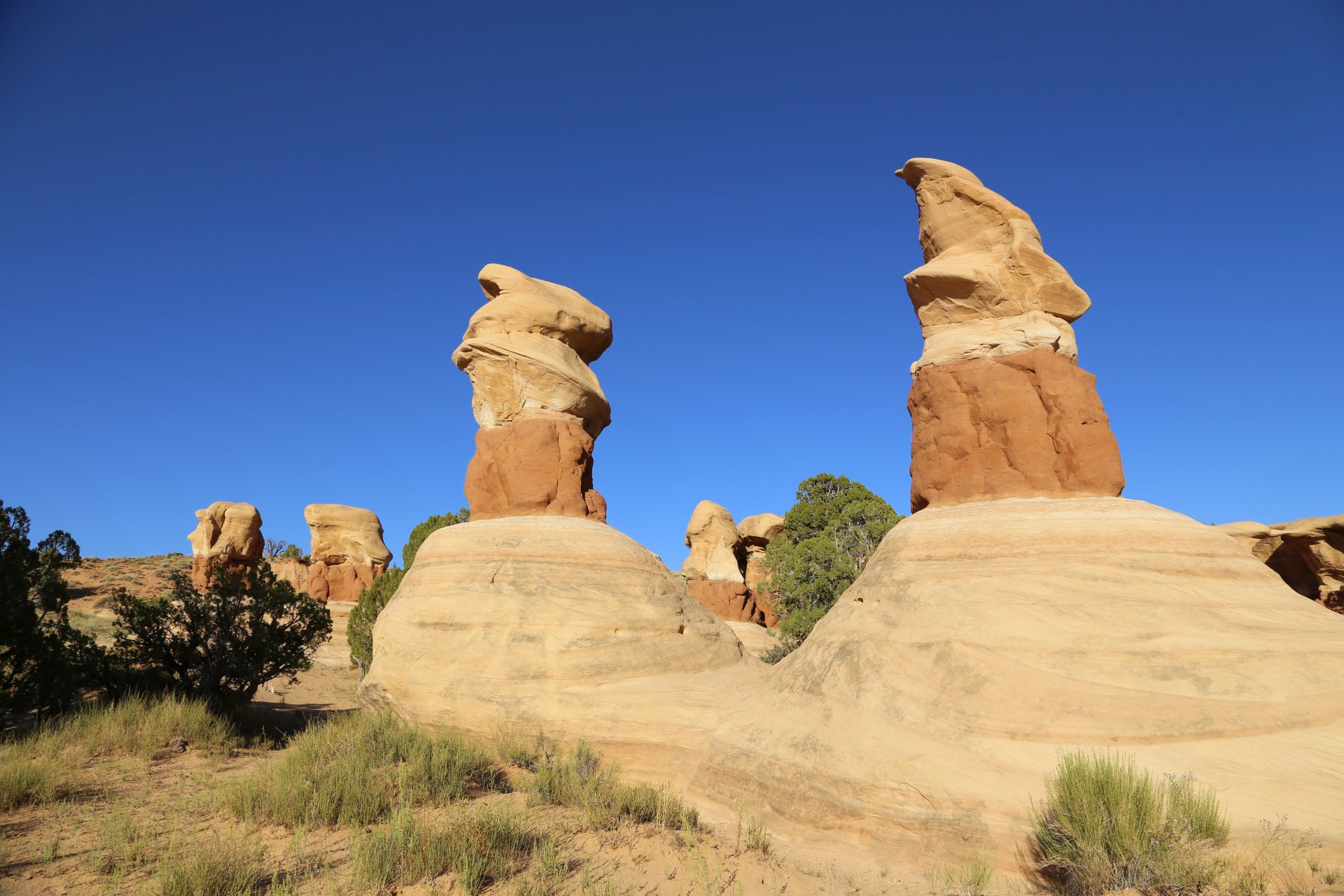 In jeder Formation kann man Dinge erkennen - Devils Garden, Erosion, Farben, Felsgebilde, Geologie, Himmel, Hoodoos, Monolith, Sandstein, Sandsteinformationen, Steinmännchen, Utah - (Escalante, Utah, Vereinigte Staaten)