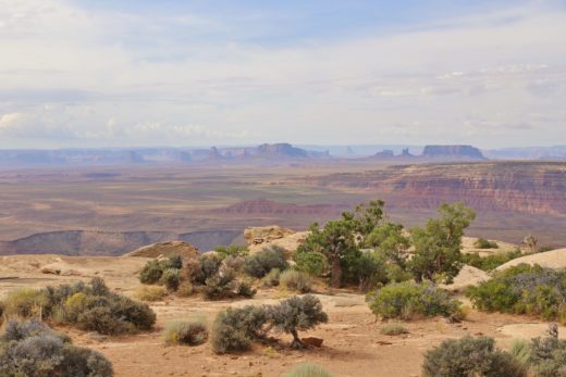 Blick vom Muley Point weit in das Land hinein - Agathla Peak, Aghaa la, Ausblick, Aussicht, East Mitten Butte, El Capitan, Elephant Butte, Fernblick, Fernsicht, Geologie, Gray Whiskers Butte, Himmel, King on His Throne, Landschaft, Merrick Butte, Mitchell Mesa, Monument Valley, Muley Point, Natur, Panorama, Sentinel Mesa, The Mittens, Utah, West Mitten Butte, Wolken - (Mexican Hat, Utah, Vereinigte Staaten)