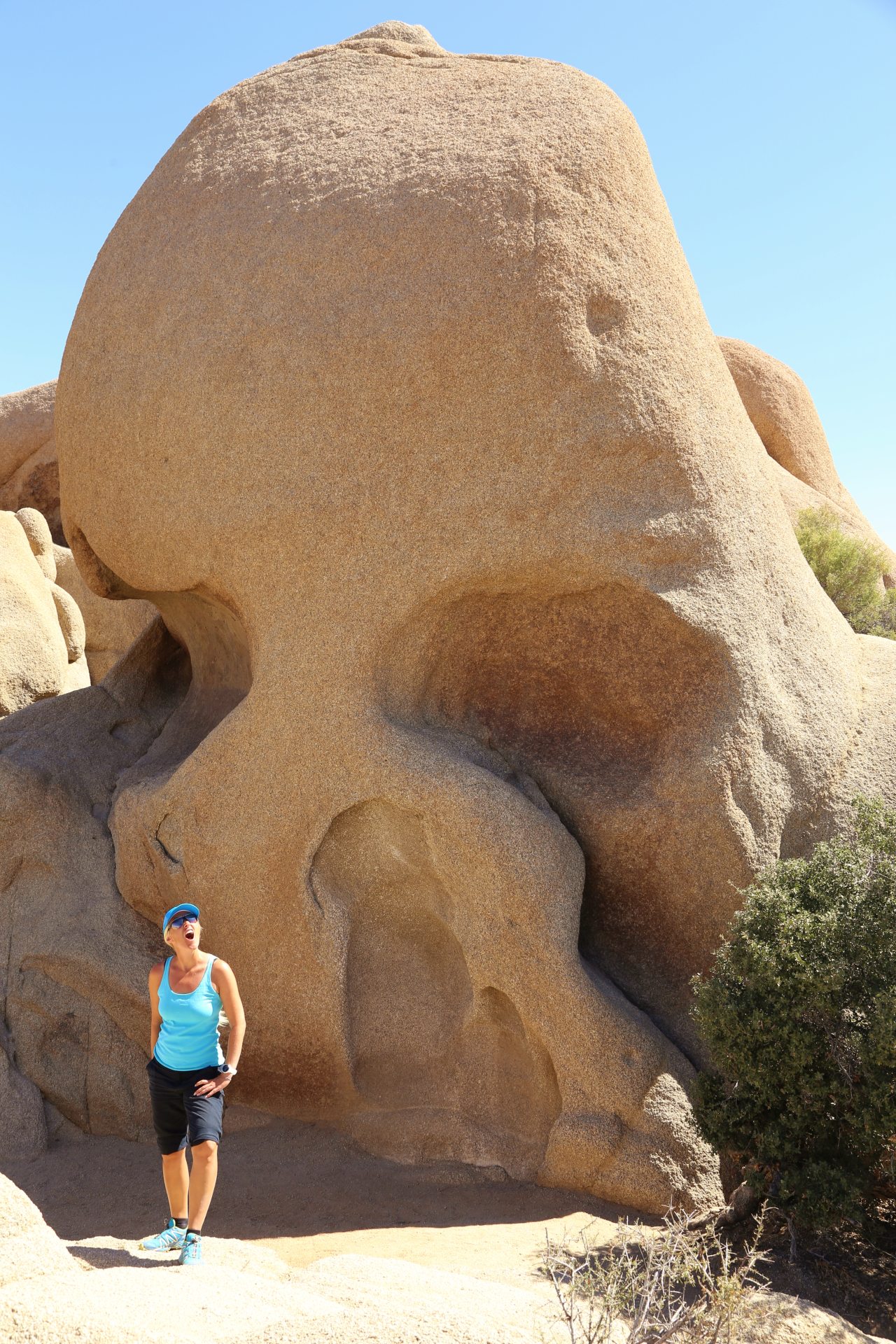 Skull Rock - sieht wirklich wie ein Totenkopf aus! - Blondine, Erosion, Felsen, Felsformation, Gesicht, Himmel, Joshua Tree National Park, Jumbo Rocks, Kalifornien, Kopf, Monument, mythisch, Personen, Portrait, Porträt, Rock, Schädel, Skull Rock, Skull Rock Nature Trail, Skulptur, Stein, Steinskulptur, Totenkopf - HOFBAUER-HOFMANN Sofia - (Pinto Wye, Twentynine Palms, California, Vereinigte Staaten)