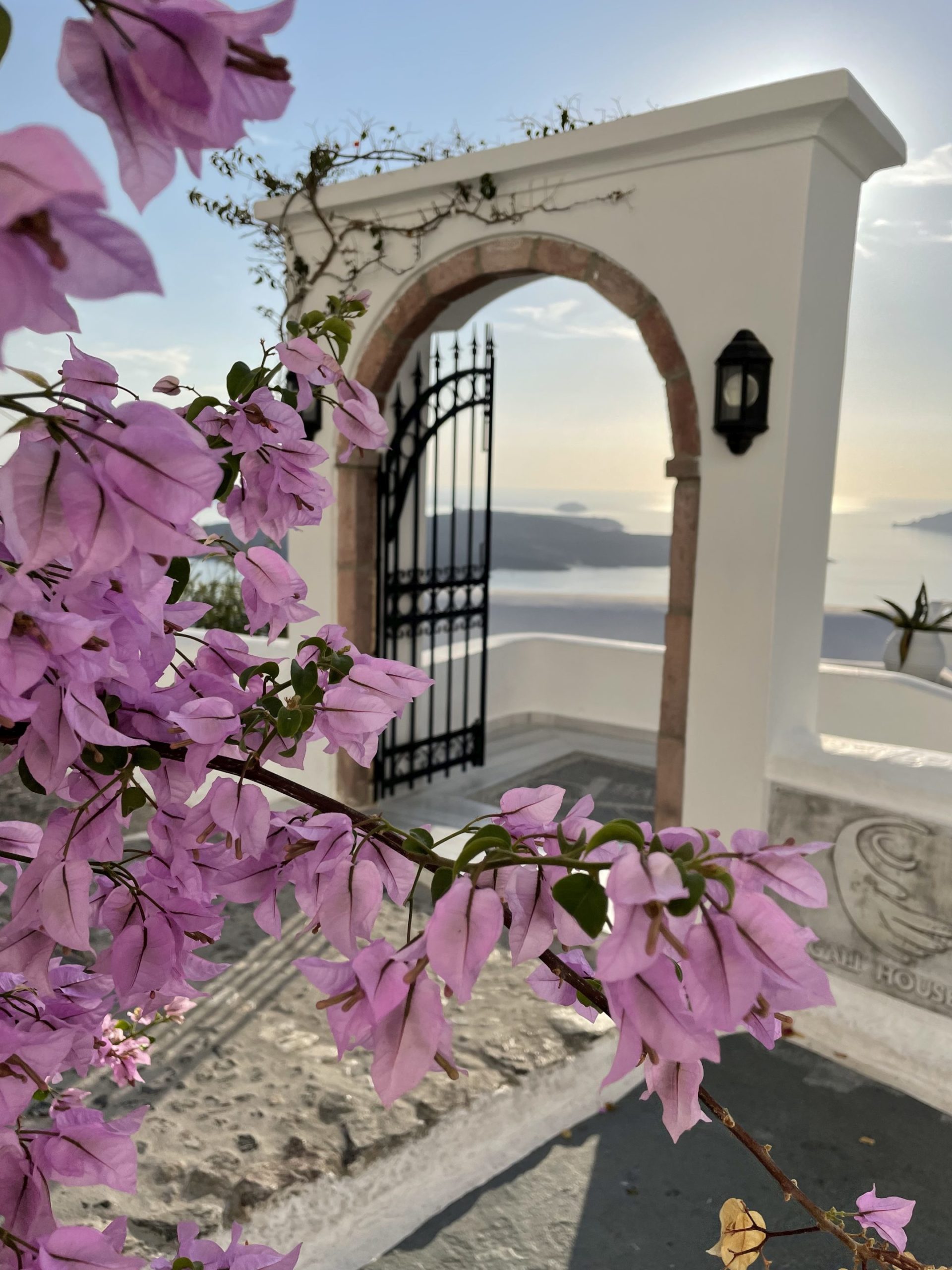 Santorinische Blütenträume - Blumen, Blüten, Eingangsportal, Himmel, Nea Kameni, Pflanze, Tor, Tür, Wolken - (Kontochóri, Ia, , Griechenland)