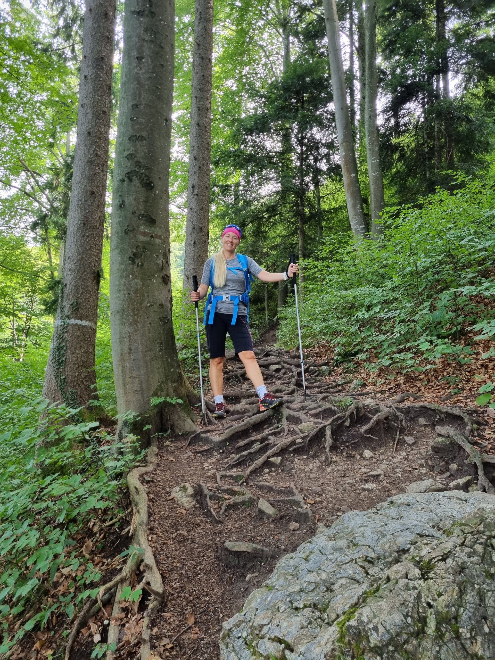 Almkogel abwärtes über Stock und Stein - 4 Berge 3 Seen, Bäume, Baumstämme, Blätter, Etappe 3, Personen, Pfad, Salzkammergut, Sträucher, Waldweg, Wandern, Wanderweg, Weg, Wurzelwerk - WEISSINGER Sofia - (Plomberg, Sankt Lorenz, Oberösterreich, Österreich)